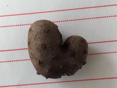 -金城包子牛肉灌汤包(台东四路店)