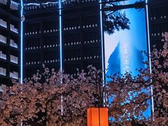 -桂满陇·蟹黄小笼汤包(中山公园店)