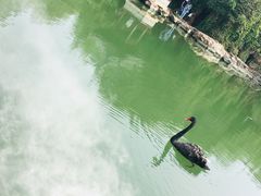 -水绘园