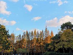 -上海理工大学(复兴路校区)