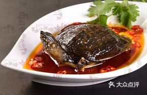 Medium-sized Softshell Turtle Dish