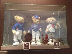 -济州岛泰迪熊博物馆