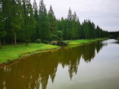 -黄海国家森林公园