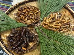-昆虫窝子·特色云南菜(拓东路总店)
