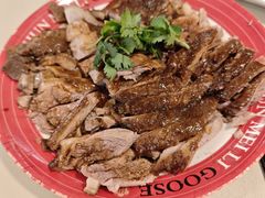 -春梅里卤鹅馆·47年老字号(东厦分店)