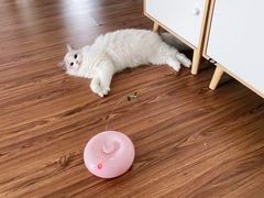 -太原东方动物医院(小店分院)