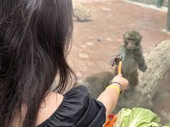 -水上乐园·欢乐世界