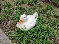 -中国农业博物馆