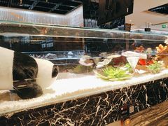 -红辣椒·川菜·火锅(大洋中心店)