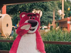 -上海迪士尼度假区