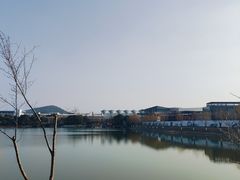 -羊山湖公园