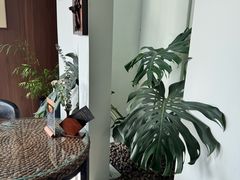 -漪龙台·B26 Rooftop Lounge