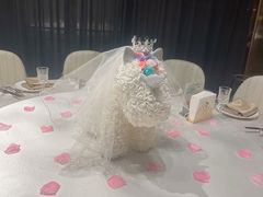 -迦南苑·新派青岛菜·生日纪念日主题餐厅