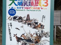 -东京国立博物馆