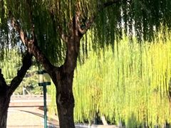 -泉城广场