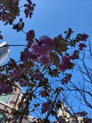 -大连市妇女儿童医疗中心(希望广场儿童院区)