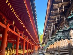 -奈良公园