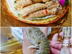 -白沙门生态公园