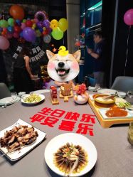 -告白气球派对策划·求婚·订婚宴·宝宝宴·生日派对