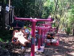 -帽儿山风景区