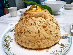 -丁老爷子苏香圆