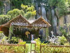 -西双版纳原始森林公园