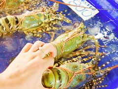 -芭提雅海鲜市场