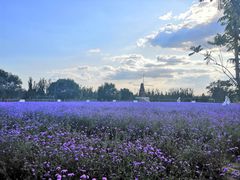 -渔岛海洋度假区