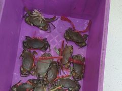 -休记光头香辣蟹干锅(绵竹店)