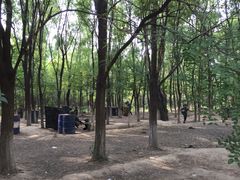 -亲兄弟真人CS团建拓展基地