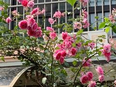 -庆余楼·用心与食材·特色菜&灶头面(仙蠡墩店)