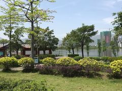 -飞来湖湿地公园