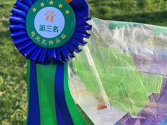 -趣玩宠物乐园寄养训犬训狗游泳池