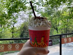 -茶颜悦色(岳麓山顶店)