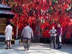 -国恩寺