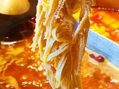 鲜毛肚-四喜小胖·北京涮肉(五道营店)