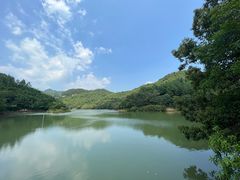 -广州白江湖森林公园