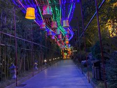 -寻梦滕王阁实景演出