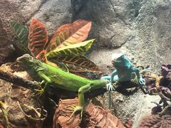 -成都浩海立方海洋公园