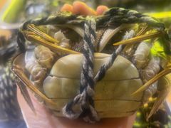 -渝粤小龙虾·海鲜大排档·江湖菜