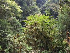 -西岭雪山大飞水景区