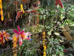 -正佳雨林生态植物园
