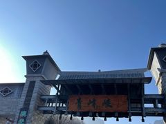 -青峰峡国家森林公园