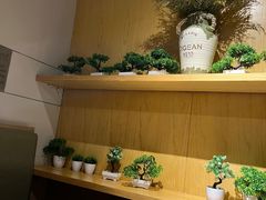 -同仁四季椰子鸡(福田东园总店)