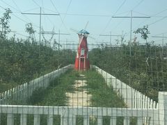-意大利农场度假村