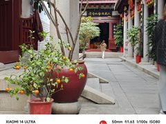 -叩齿古寺