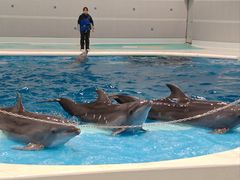 -鹿儿岛水族馆
