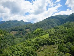 -石台牯牛降景区