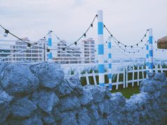 -Blue Concept Cafe&Farm·關於藍