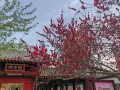 -桃花堤公园